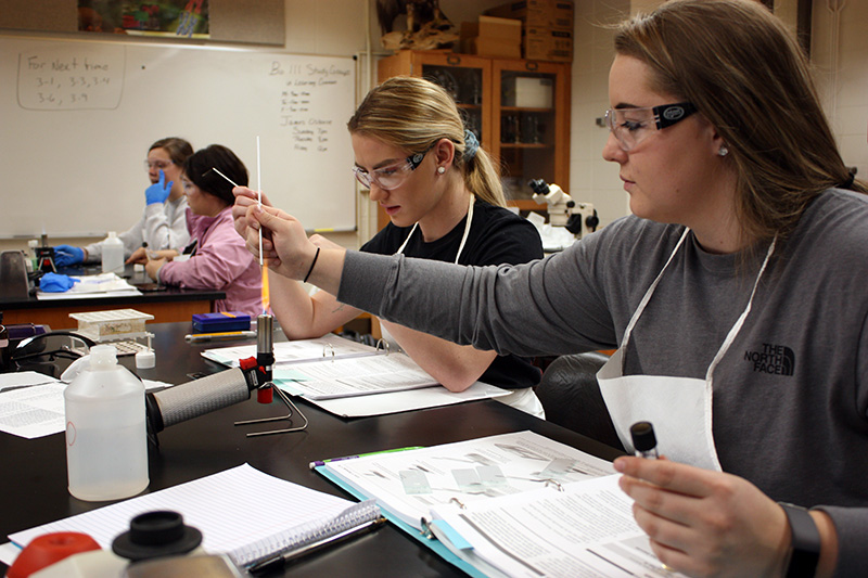 Students working in a biology classroom.